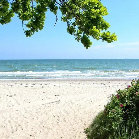 Strandnahe Mit Terrasse, Gratis Nutzung Vom Ahoi Erlebnisbad Und Sauna In Sellin - Rex Rugia 30-4 Lobbe