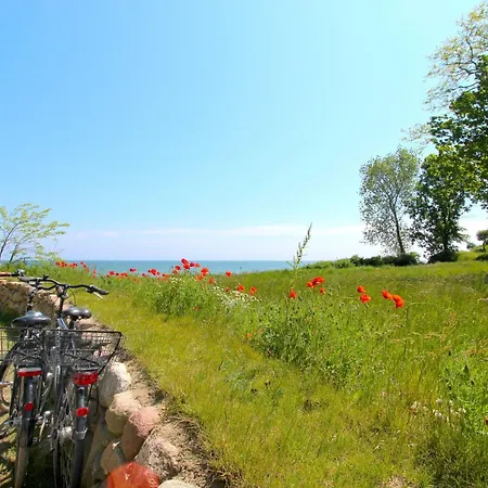 Strandnahe Mit Terrasse, Gratis Nutzung Vom Ahoi Erlebnisbad Und Sauna In Sellin - Rex Rugia 30-4 Appartement